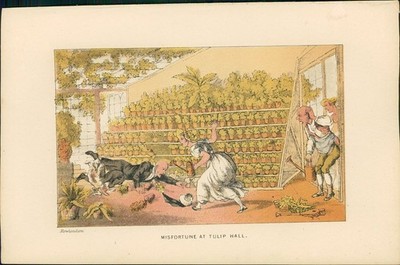 Lithographie : Dr. Syntax - Misfortune at Tulip Hall. (Illustration zu ''Doctor S