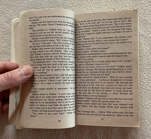 4x Terry Goodkind Novels Phantom, Temple Of The Winds, Stone Of Tears, Chainfire - Picture 23 of 24