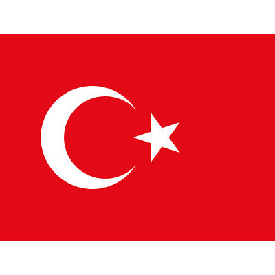 Turkey National Flag World Flags Country Poster Huge Wall Art Print Giant