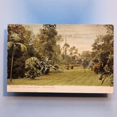 Battersea Postkarte 1906 Sub Tropical Formal Park Garten Palmenfarn London Vororte