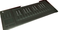 ROLI Seaboard RISE 25 Free Shipping From Japa...