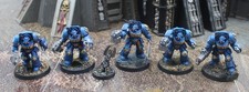 Space Marines Ultramarines 5x Terminators - Artist Painted 5491