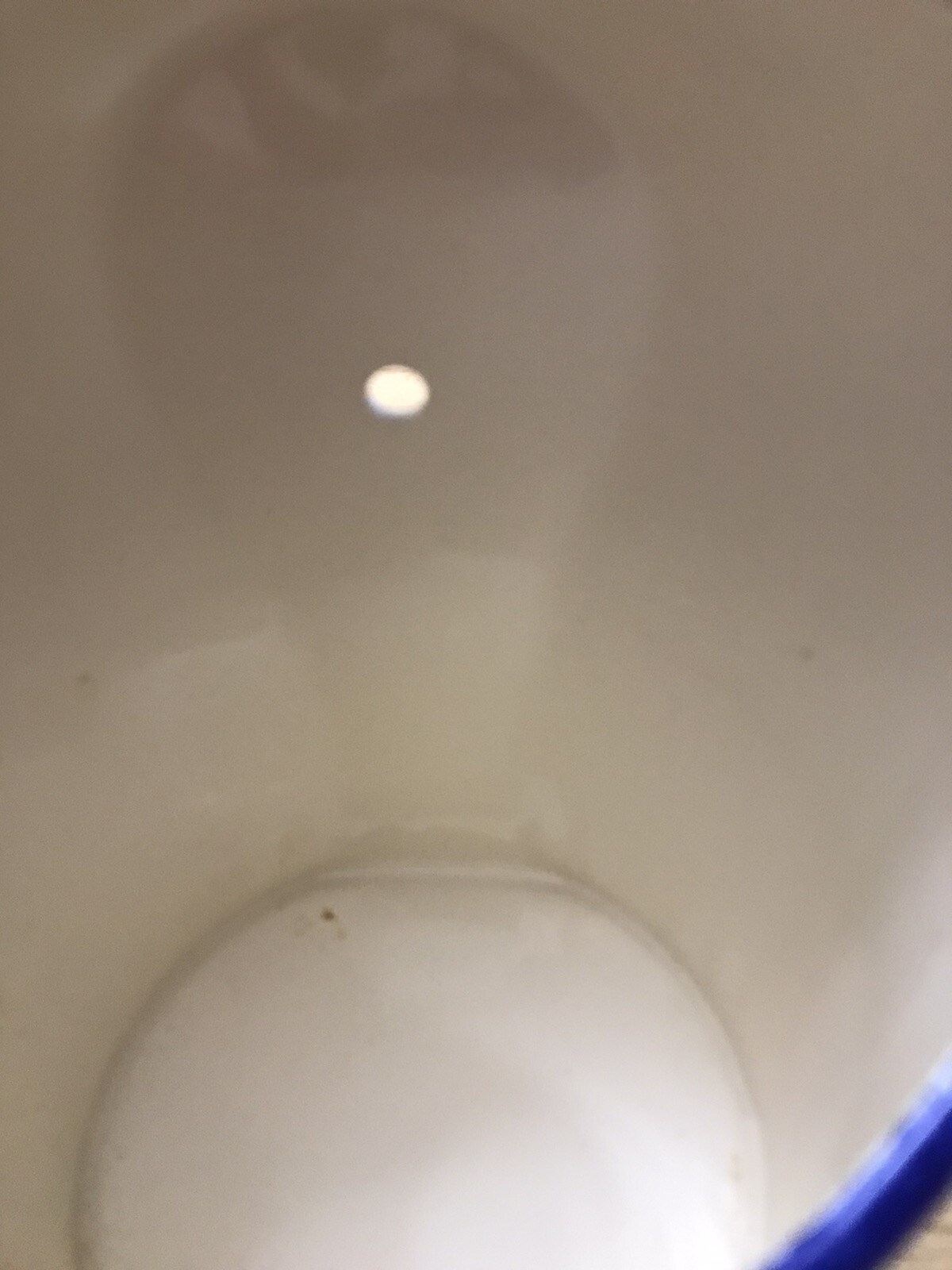 Brittany Quimper Style Salt Cellar/Pig