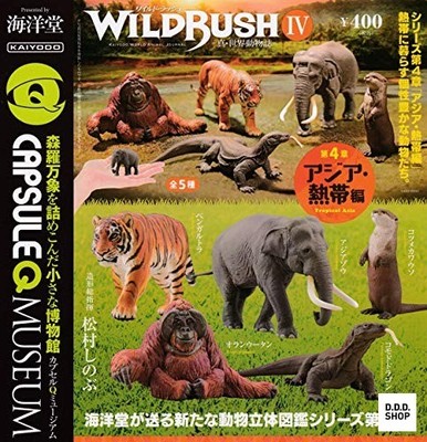 Kapsel Q Museum WILD RUSH World Wildlife IV Asien Tropen Komplettsatz 5 Gashapon