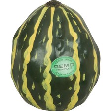 Remo Veggie Shakers Individual Medium Squash