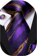 Mens Paisley Floral Silk Tie for Men Striped Necktie and Pocket Square Cufflinks