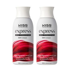 KISS Express Semi-Permanent Hair Color 100mL (3.5 3.5 Fl Oz (Pack of 2), Gray