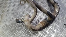 Thermostat Citroen SAXO