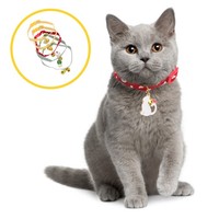 5 Pcs Halsband FüR Haustier Hundehalsband Welpen Verstellbares Haustierhalsband