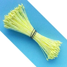 Pointed Tip Flower Stamens Small Yellow