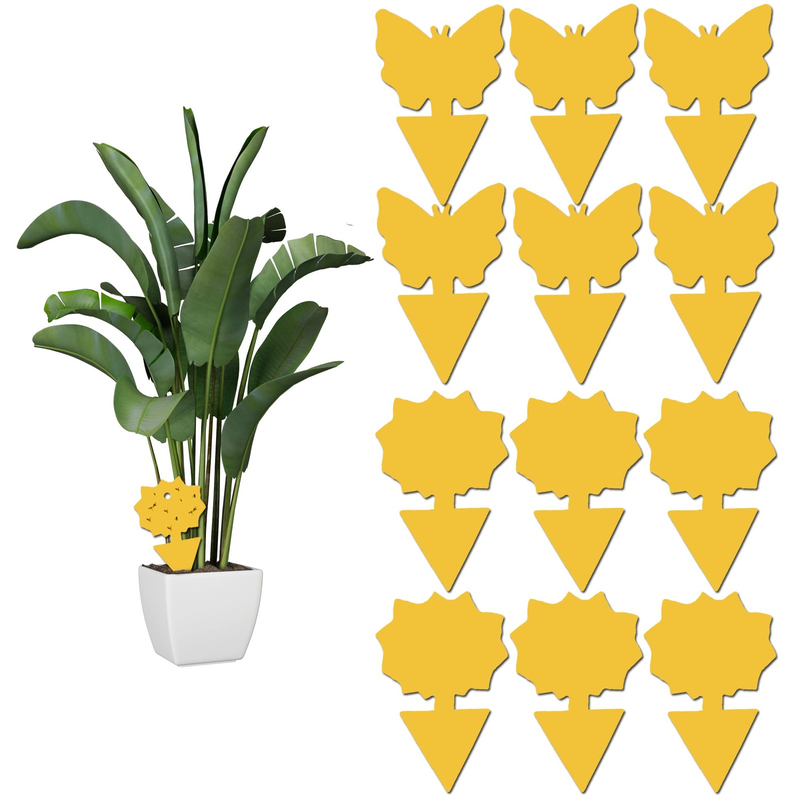 12 pack Sticky Fruit Fly and Fungus Gnat Trap Yellow Traps 12pack