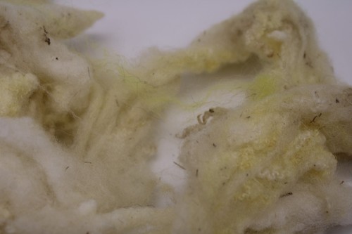 Natural Wool Roving Top For Needle Felting Hand Spinning DIY Crafts -- CHOICE - Picture 405 of 462