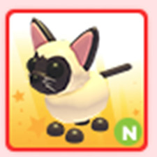 Neon Siamese  |Fast Delivery