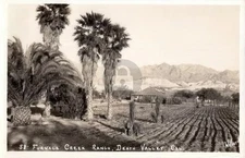 Death Valley CA Furnace Creek Ranch Willard 1930s RPPC Photo Postcard COPY
