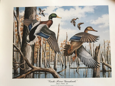 Cache River Greenheads Print With Stamp By James Partee Jr | eBay