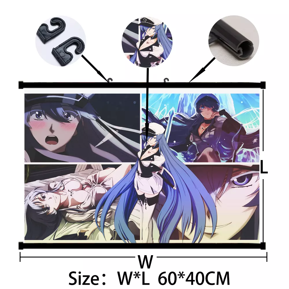 Men Women Akame Ga Kill Anime Gifts For Music Fans Poster for