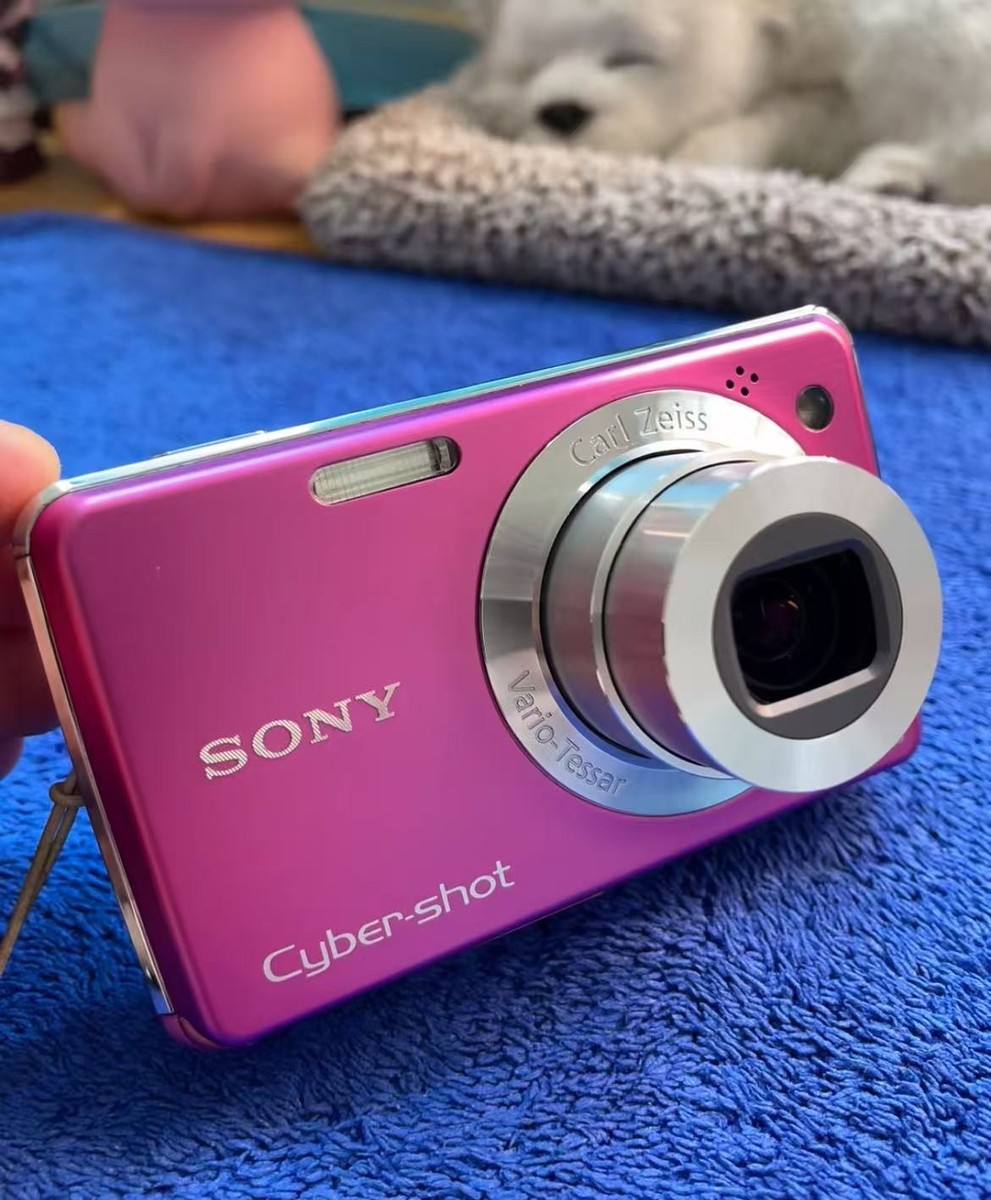 SONY Cyber-Shot DSC-W220 12.1 MP 4x Optical Zoom Digital Camera