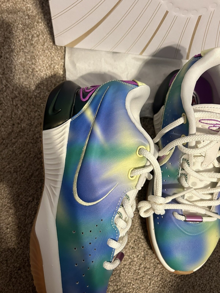 lebron james shoes size 5.5