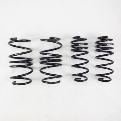 RS-R Fits 2017-2022 Honda Civic Type R (FK8) Down Sus Springs - H059D