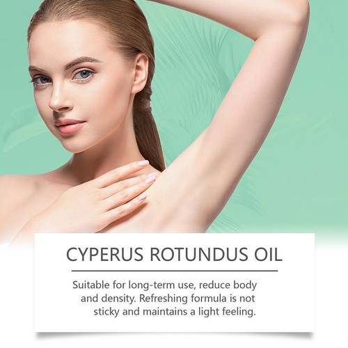 Cyperus Rotundus Oil - 100% Cyprus Oil Natural Nut Types Grass Oil Skin All - Picture 6 of 10