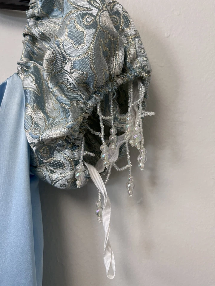 灰姑娘公主剧院皇家礼服服装迪士尼角色 — 第 4/4 张图片