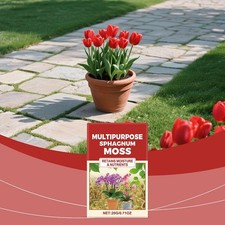 Multipurpose Sphagnum Moss Micro-Landscape Floral Decoration For Indoor C6P1