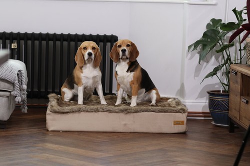Smart Pet Beds - Dog/Cat - High Quality - Natural - Handmade - Bed for Life - Picture 20 of 32