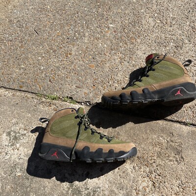 beef & broccoli jordan 9