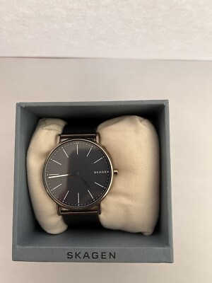 skagen herrenuhr