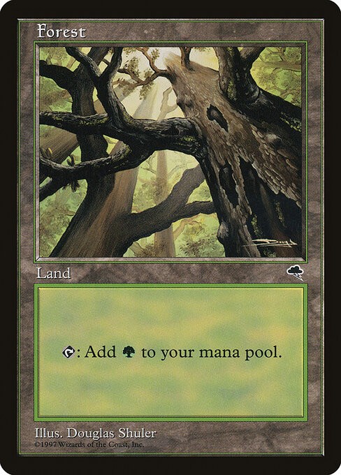 Forest NonFoil Tempest 347 NM MTG