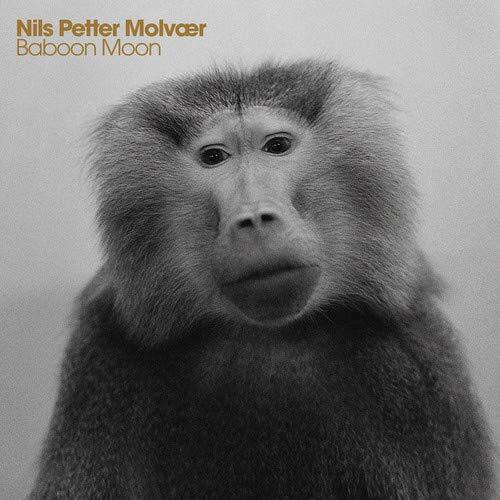 Nils Petter Molvaer Baboon Moon (CD)