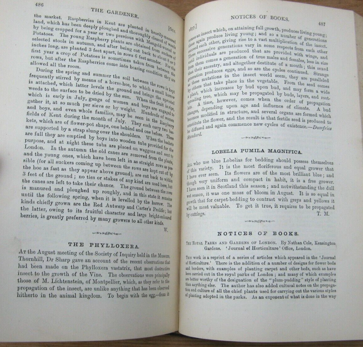 Picture 15 of 16