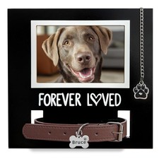 MYPAWLETS Dog/Cat Collar Memorial Frame with Paw Print Charm,Pet Loss Sympath...