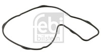 Febi Bilstein Dichtung Wasserpumpe 44159 FüR Volvo 7700 8500 FH 9700 9900 FM FMX