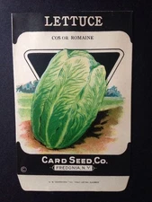 1930s Litho Antique Vintage Seed Packet Lettuce Cos Romaine Card Seed Co. Pack