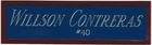 WILLSON CONTRERAS CUBS NAMEPLATE AUTOGRAPHED Signed Baseball Display CUBE CASE