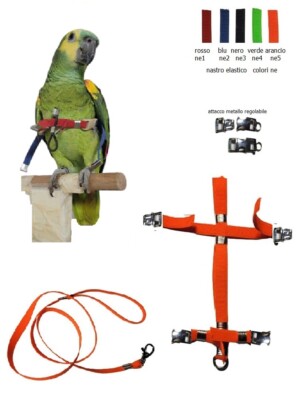 Elastic harness metal detachable buckles Amazon parrots blue front already