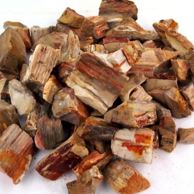 versteinertes Holz Edelsteine roh Madagaskar Ø 30 - 50 mm Wassersteine Heilstein
