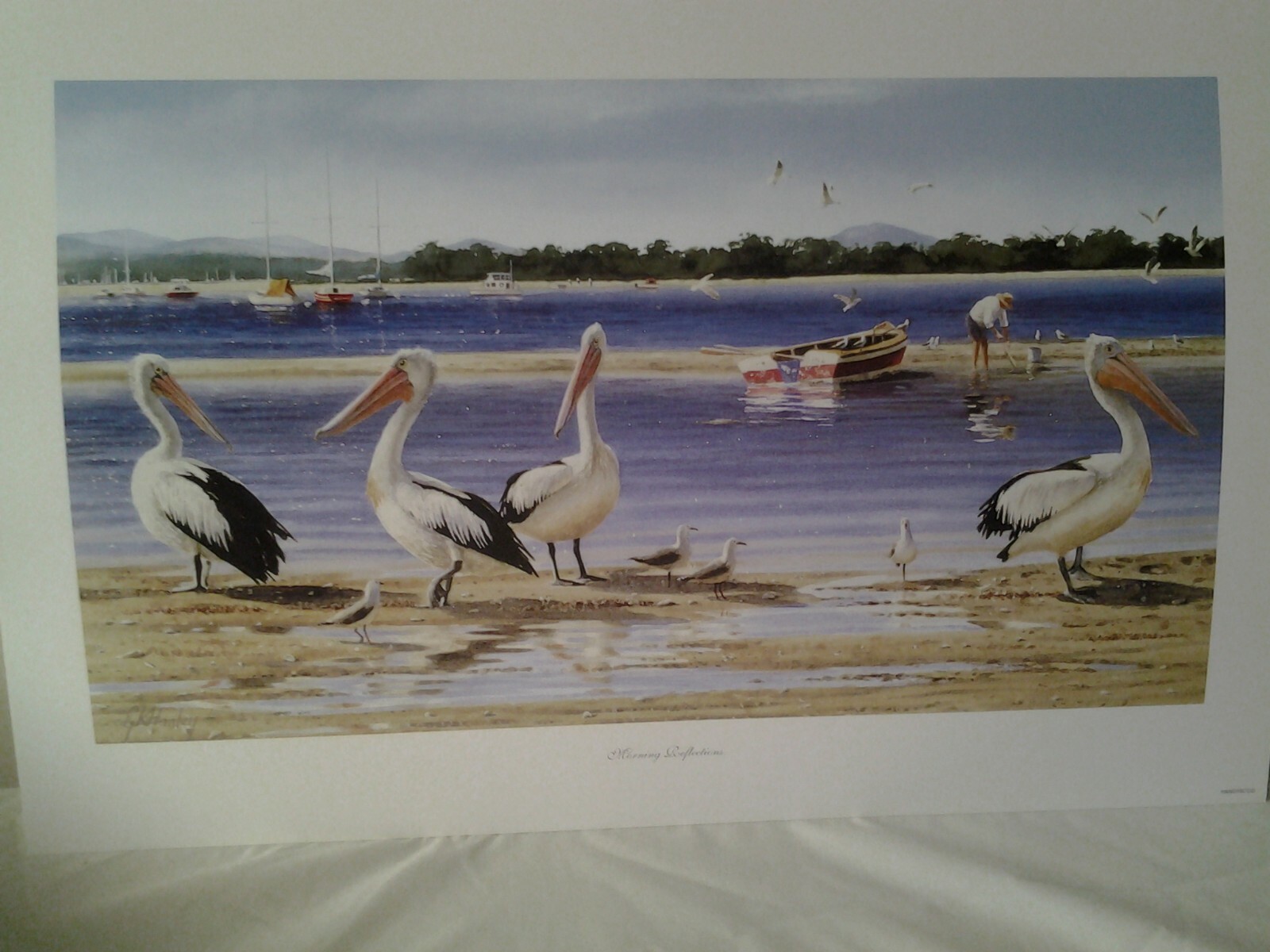 Gordon Hanley Prints Kookaburras Wildlife "The Hub" Open Edition eBay