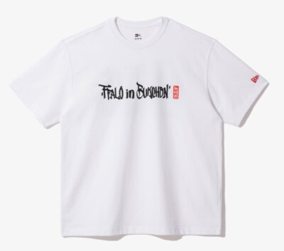 Newera X Korean FFALO IN Bukchon Turtle Ship T-Shirt_White | eBay