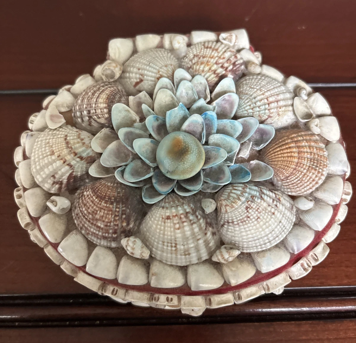 贝壳盒| eBay