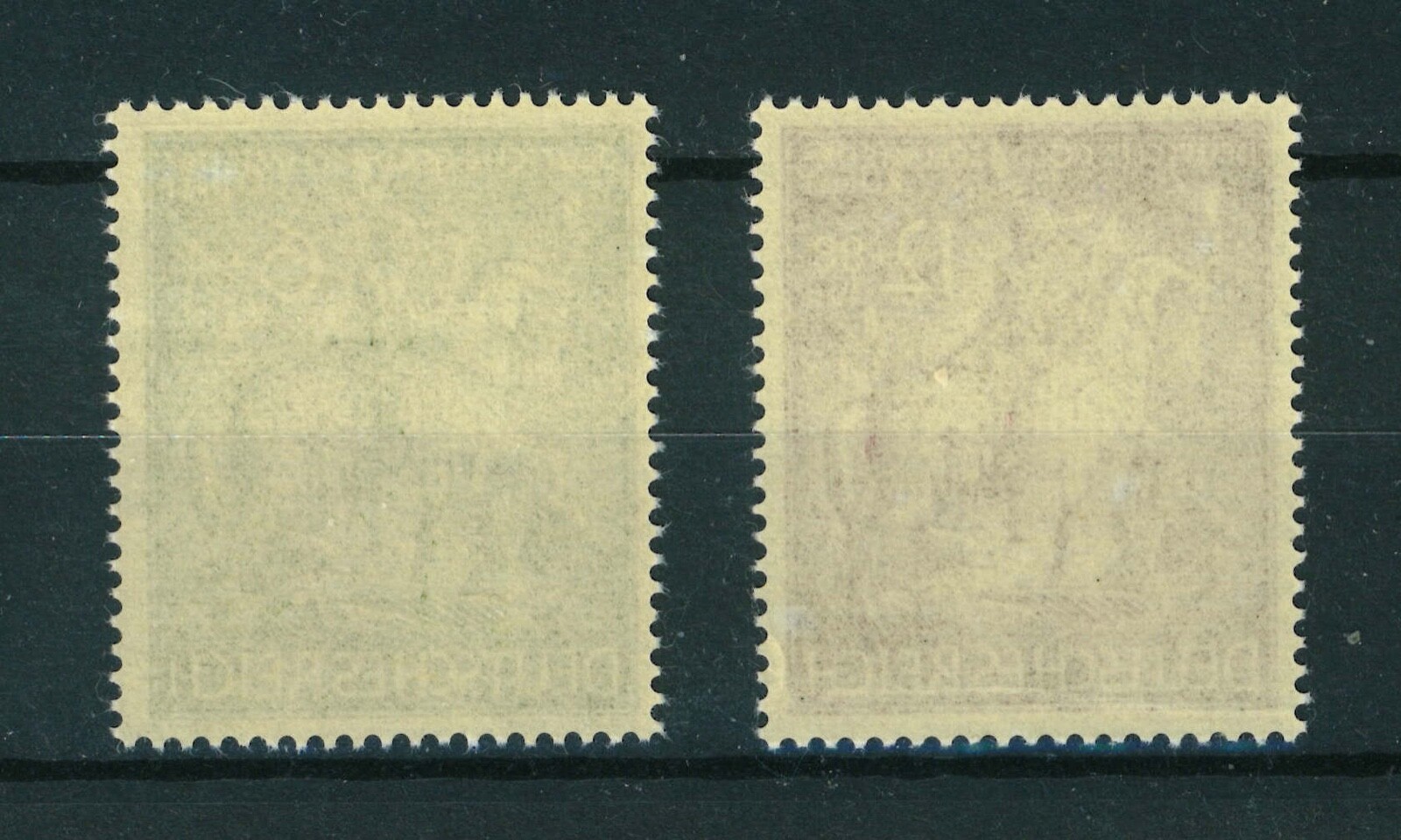 Foto 2 di 2