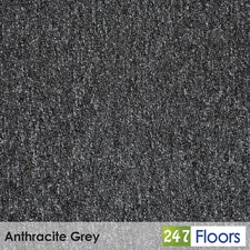 Loop Carpet ONLY £4.99 Free Delivery Stain Resistant Feltback Lounge Stairs