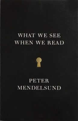 What We See When We Read by Mendelsund, Peter Book The Fast Free Shipping