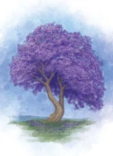 RGS00830 Renegade Games Studios Arboretum