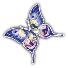 Watercolor Butterfly Art Decor Car Bumper Sticker Decal
