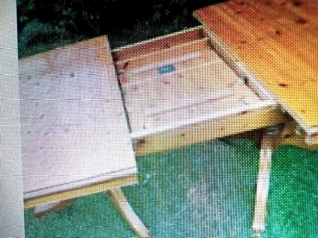 Picture 9 of 9