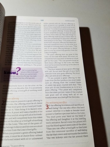 Deep Blue Kids Bible Common English CEB, Like New Silver Gilded Edge, 2012, Soft - Picture 6 of 10
