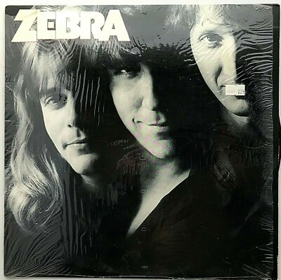 lpレコード 山下達郎 Come Along II 【帯付】山下達郎「Come Along Ⅱ(カム