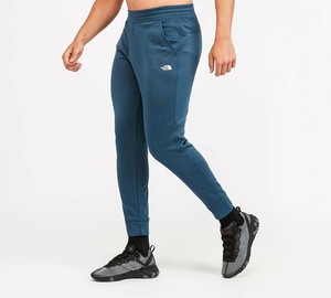 blue north face tracksuit bottoms